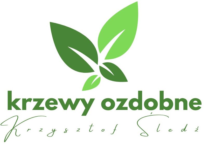 Krzewy Ozdobne Sandomierz Tarnobrzeg